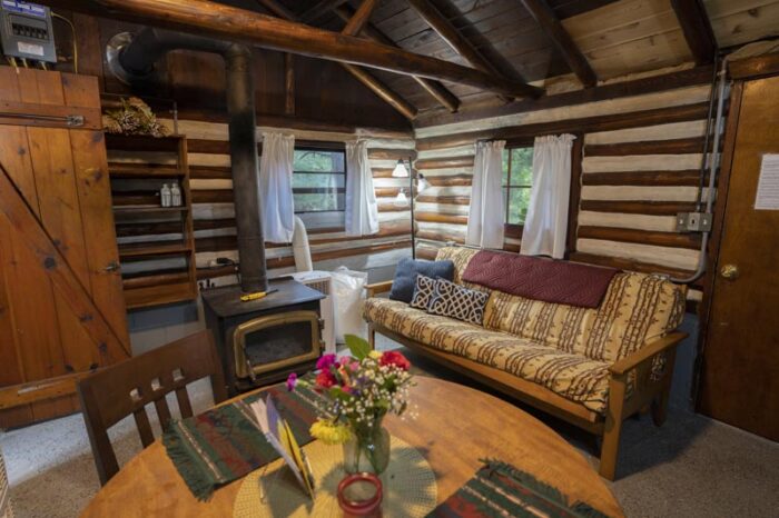 Birch Log Cabin Living Area