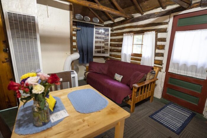 Doghouse Log Cabin Living Area
